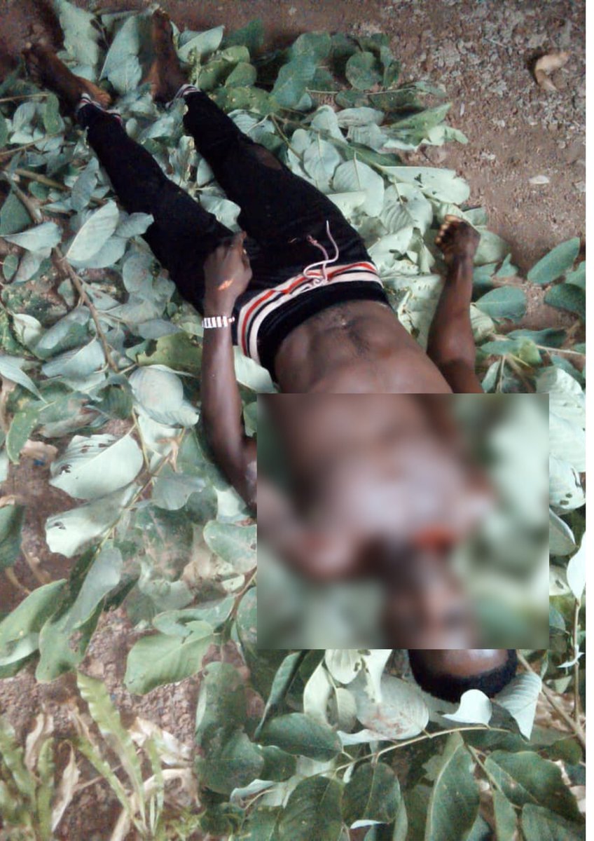 SaharaReporters's tweet photo. Suspected Herdsmen Kill Enugu Resident For Attempting To Save Sister From Rape | Sahara Reporters https://t.co/84YuIHLNve https://t.co/INBYbx0ngL