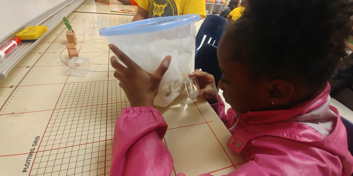 MAEF STEM Studio tweet media