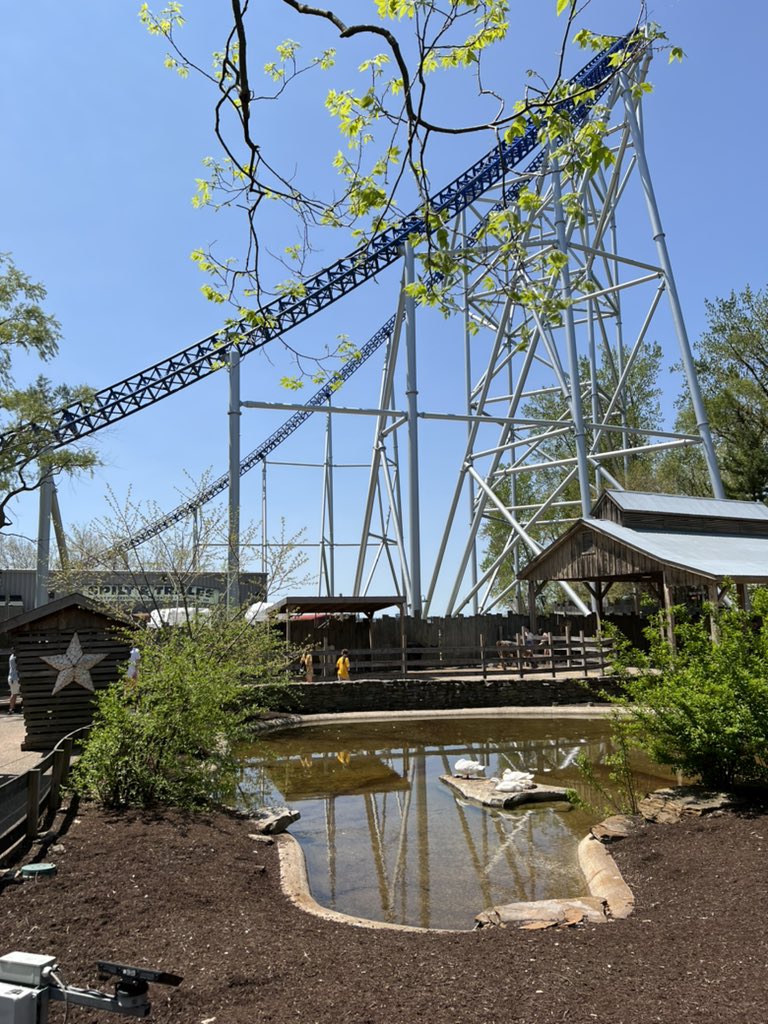 mark_justin's tweet photo. #themeparkducks @AaronGallimore6 https://t.co/yrpp259swO