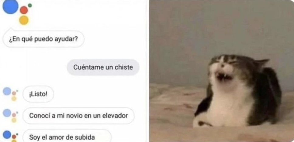 — ¿Google, cuéntame un chiste?

Google             //             Yo
