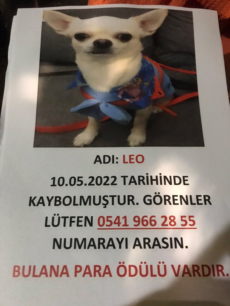 ilaydadalgc's tweet photo. #leoyuBeraberBulalım https://t.co/Xkr3GufGeO