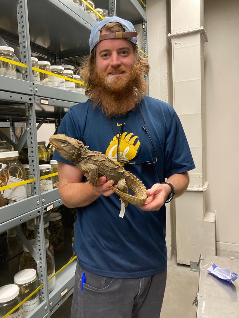 redgcko7's tweet photo. Say hello to my Rynchocephalian friend 🦎 #NotALizard https://t.co/HTHvesOdlQ