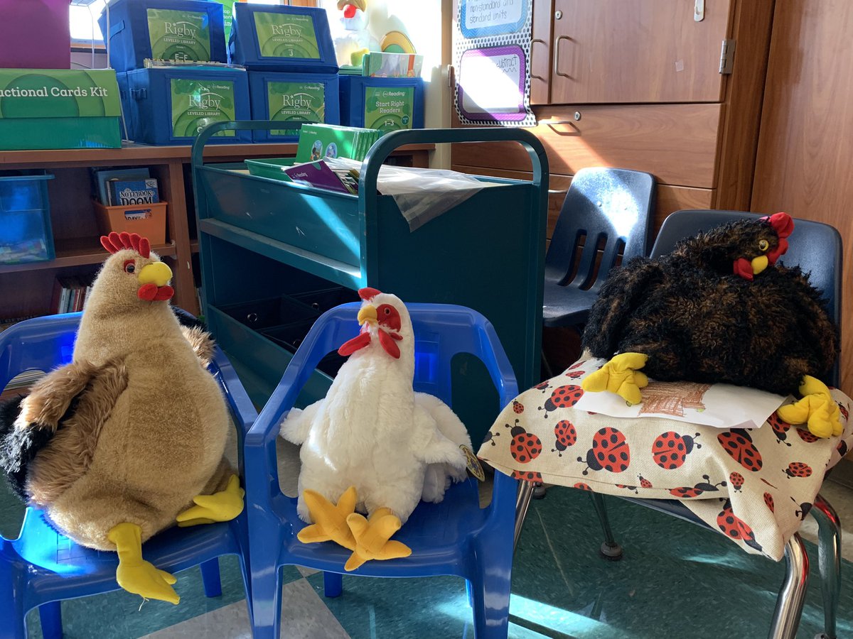 <a href="/MrsHolland15/">Mrs. Holland</a>’s class hatched 🐣 my assistant principal for the day! Learning Science with chickens! Thanks Ms. Haley for bringing a real-life experience to our students! #plumlearns
