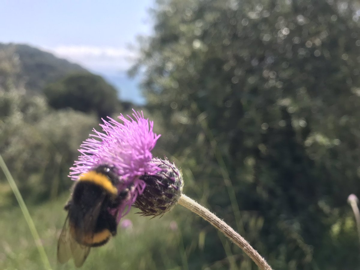 kirsty_hawkshaw's tweet photo. Nature is my best friend and sharing these moments with #adamf even better #Greece https://t.co/AeFV2W3Qod