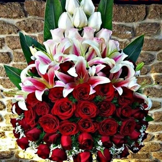 #صورة_ملف_شخصي_جديدة