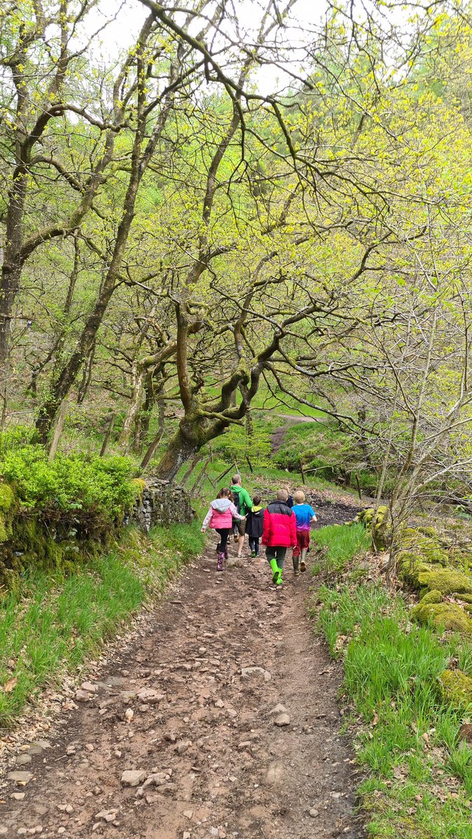 _becca_knowles's tweet photo. Primary have returned back from their residential trip to @Gradbachscouts,  what an amazing time we had! Streamwalking, obstacle courses &amp; lots of toasted marshmallows 🏕🥾 https://t.co/2LCcs0dQK2