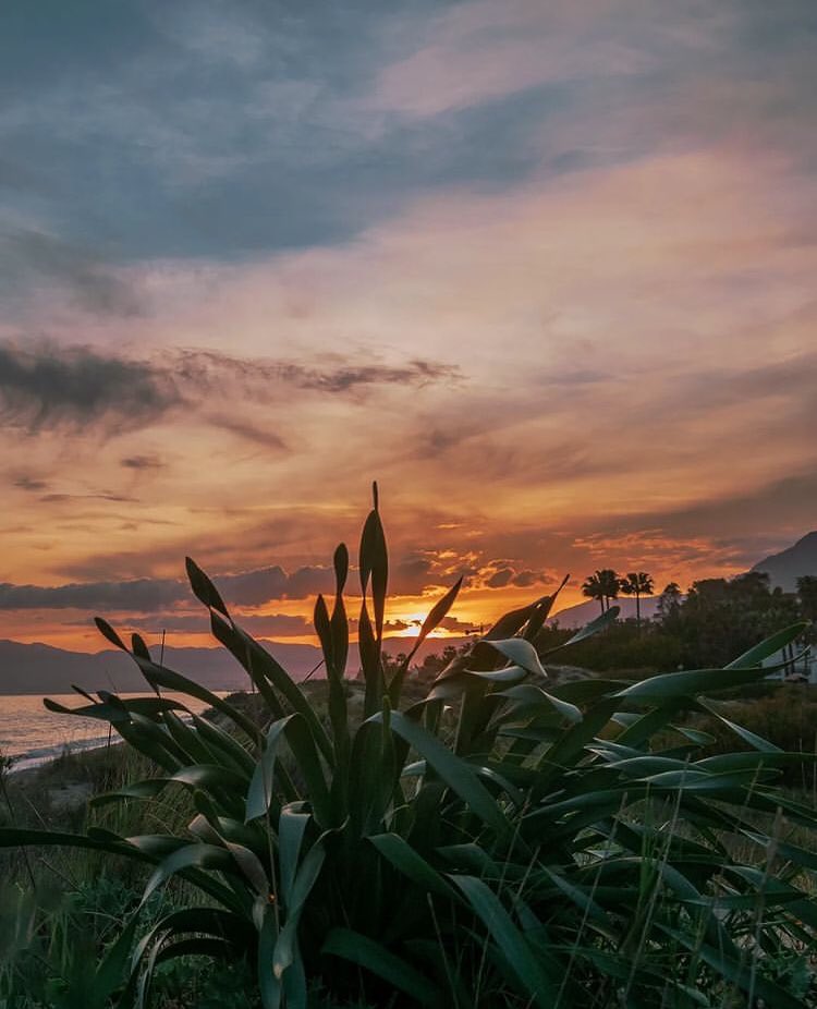 📣FOTO DEL DÍA

🔔Síguenos: <a href="/LateMalaga/">Late Málaga | Cultura, Historia y Gastronomía</a> 

📍Marbella.

Créditos: javier_photograph (instagram)

#latemalaga #malaga #andalucia