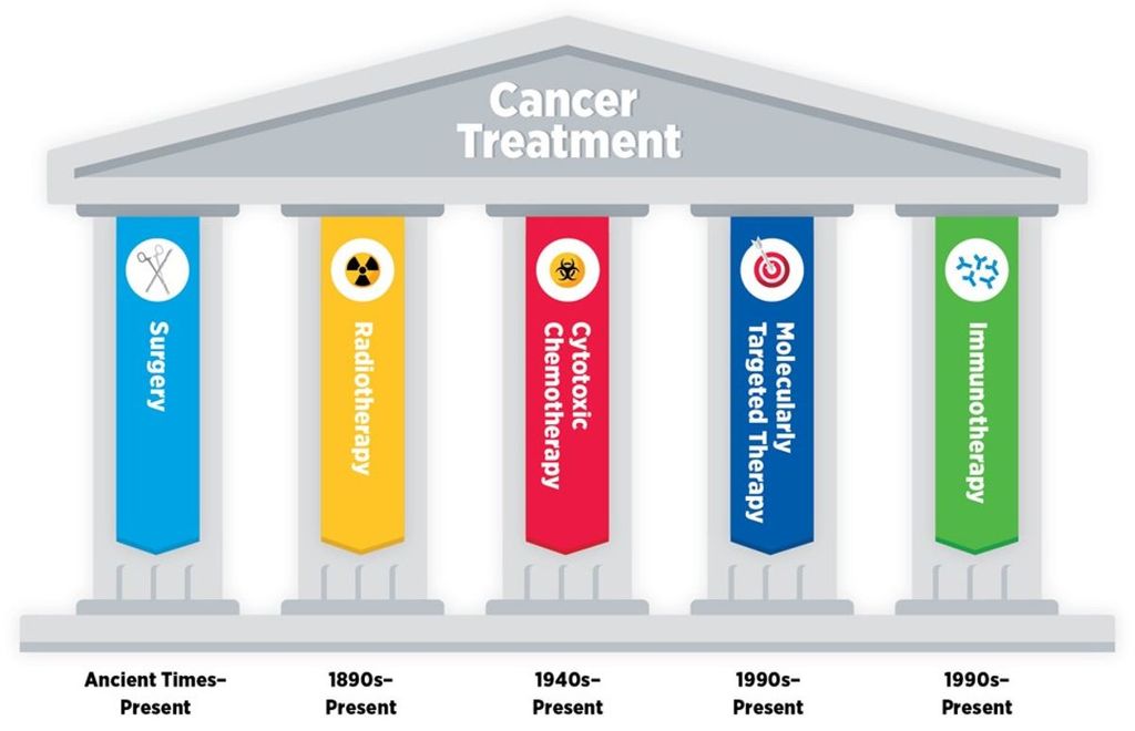 AACR's tweet photo. May is National Cancer Research Month. Discovery science was involved in developing the five “pillars” of cancer treatment, and innovative cancer research continues to advance these therapeutic areas:
https://t.co/Uw9gbgPqfc
#NCRM22 #ResearchSavesLives #CancerProgressReport https://t.co/oTTgUnKjZU