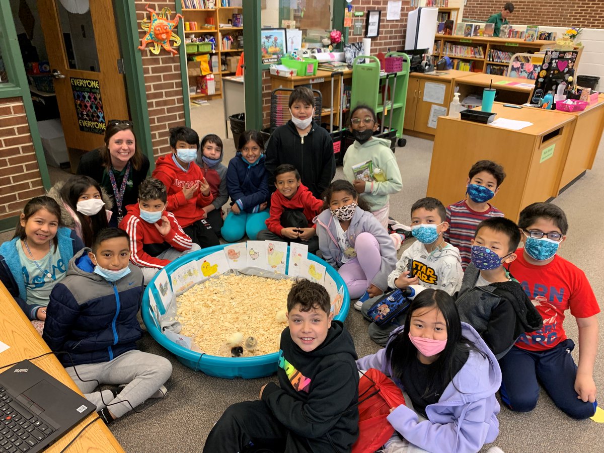 Library_NLE's tweet photo. The chicks were so pleased to receive cards from @MsStiles_RRD's class today! Ms. Stiles' students wished the chicks happiness and good luck at their new home on the farm. The chicks loved walking around and reading the cards all day long. Thanks, third graders! @RRD_LCPS https://t.co/SqWKCYG8Qe