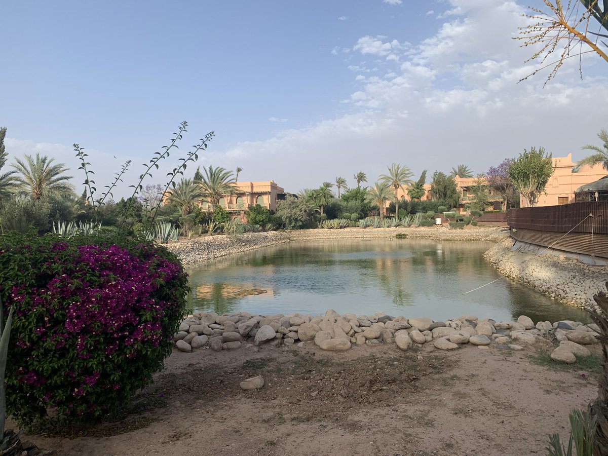 It’s nice to just be sometime.