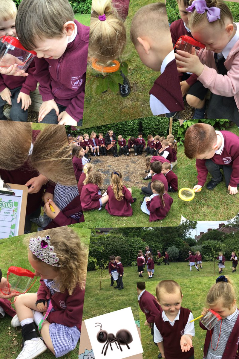 Today RD went on a bug hunt in the school forest area and we explored all the bugs in the world around us. 🐛🐞🐝🐌🐜🕷🦋