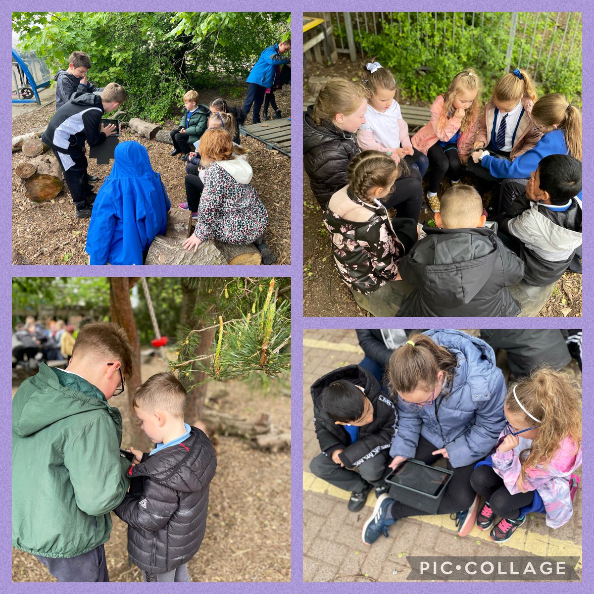 MrsWatsonBrown's tweet photo. 📱📸 Digital Friday with P2!📸📱Today’s target was for P6 to teach P2 pupils how to use the Mark Up tool then create collage of their creations using Pic Collage app! 📸📱Pupils worked so well together and had fun creating images! @ConnectedFalk @MissCleaver @P2W_VPS #vpstech https://t.co/UVbotPG2nc