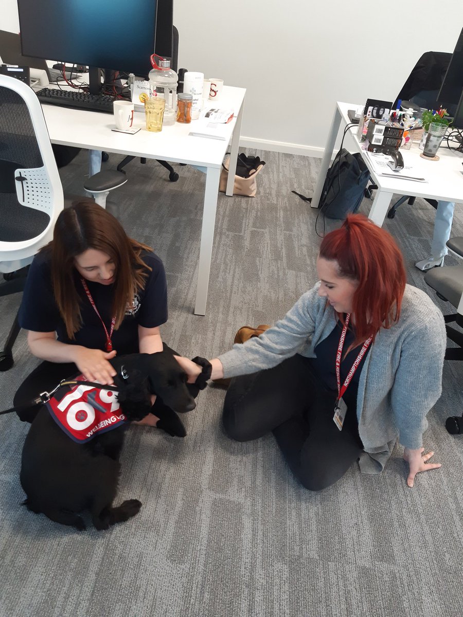 Olive, our Wellbeing dog 'doing her thing' and promoting #MentalHealthAwarenessWeek She's a super star and always 'starts a conversation' around Wellbeing. @OscarKiloNine @DouglasStef @northantsfire