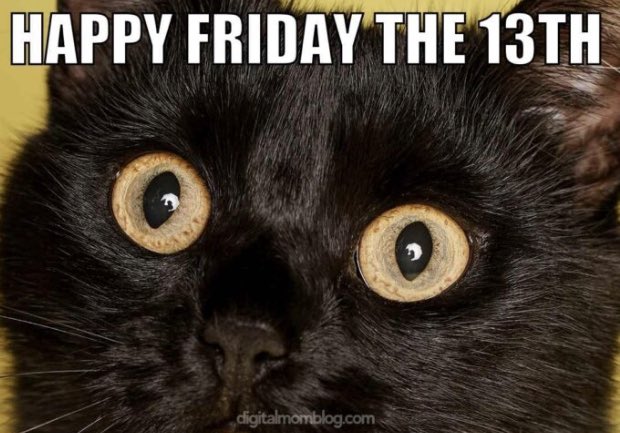 SaltyPunkCats's tweet photo. What should we do this #FridayThe13th ? https://t.co/bNw8mvfehE