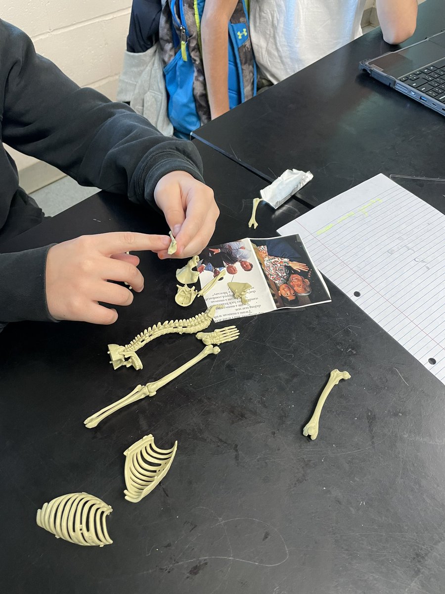 ohwowmrspowell's tweet photo. We aren’t even learning about dinosaurs. #teachinginMay https://t.co/T3dR8f2vQG