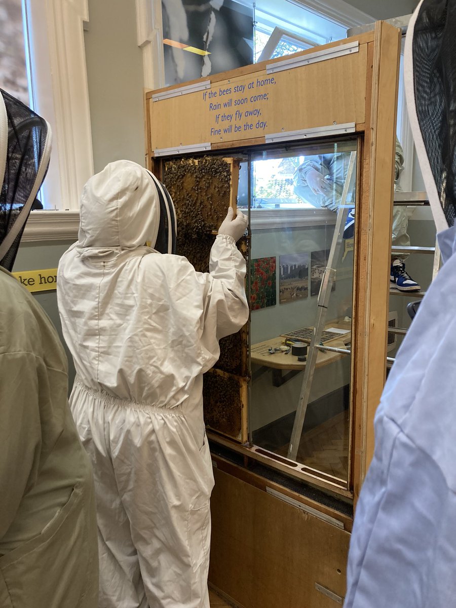 Mich_Calvert's tweet photo. New bee colony back on display @HornimanMuseum https://t.co/OVZTp6iPkK