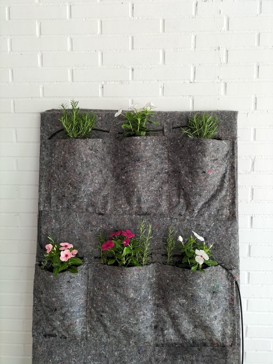 Hoy nuestros chicos de 2ME de <a href="/Emprende_Rua/">Aula Profesional Emprendimiento IES Benjamín Rúa</a> han pasado a la final nacional del #Desafiojuniorempresarial de #ESIC para representar a Madrid con su proyecto Hydrogreen, un jardín/huerto vertical hidropónico. Grandes💪💪