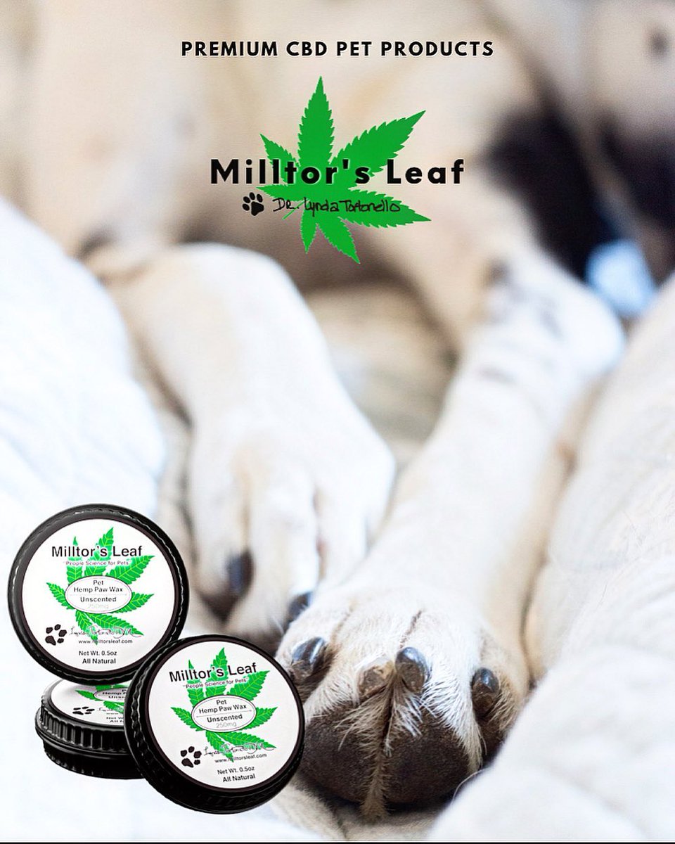 milltorsleaf's tweet photo. With summer around the corner and asphalt getting hot, give your pet's paws some TLC with Milltor's Leaf Paw Wax! #milltorspets #milltorsleaf #cbd #petcbd #topical #topicalcbd https://t.co/ThmOMsGvVY