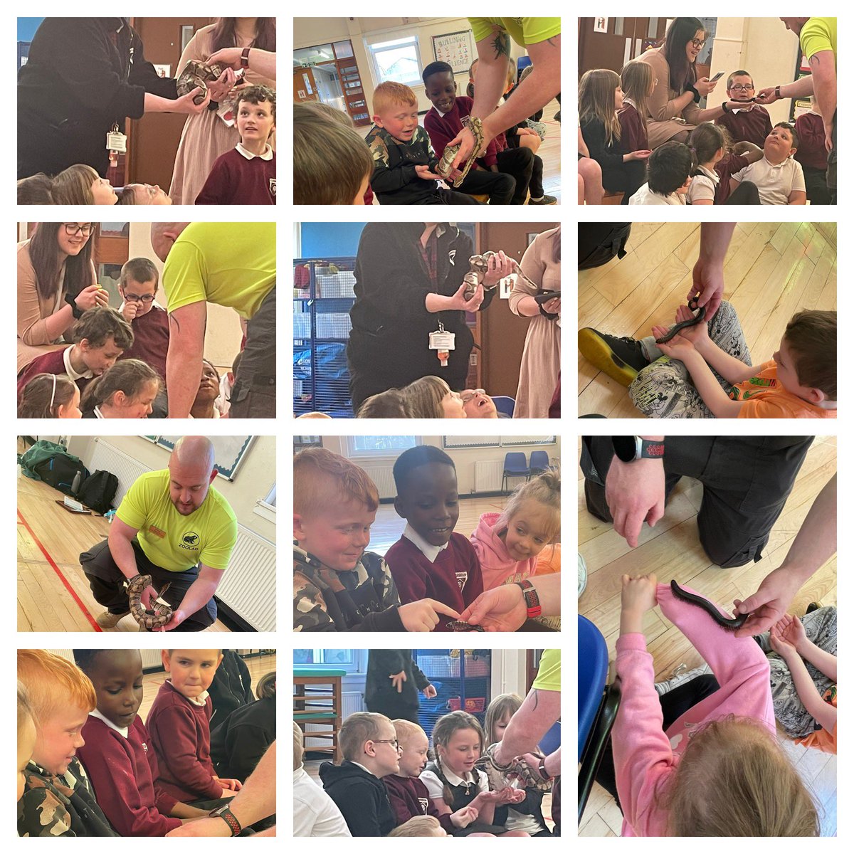 CarbrainPrimary's tweet photo. P1-3/4 had great fun with @ZooLabUK We loved meeting all the animals. https://t.co/tFe7KP9fNp
