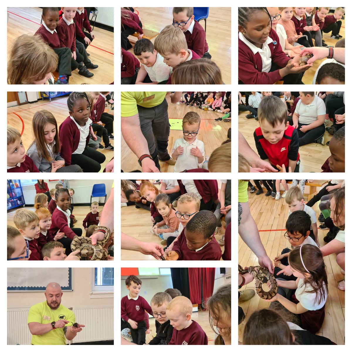 CarbrainPrimary's tweet photo. P1-3/4 had great fun with @ZooLabUK We loved meeting all the animals. https://t.co/tFe7KP9fNp