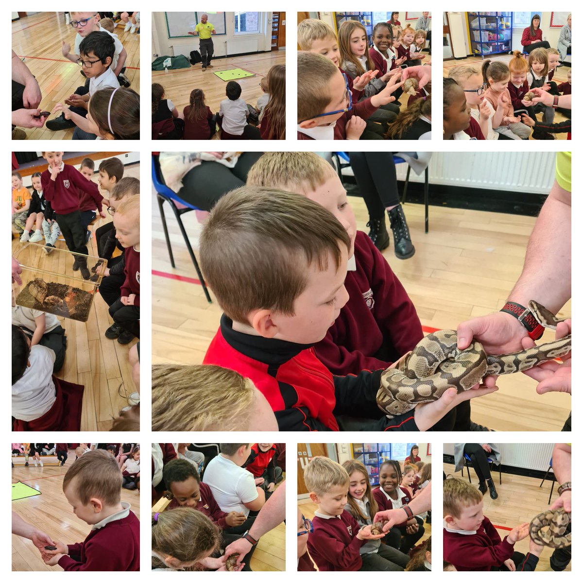 CarbrainPrimary's tweet photo. P1-3/4 had great fun with @ZooLabUK We loved meeting all the animals. https://t.co/tFe7KP9fNp
