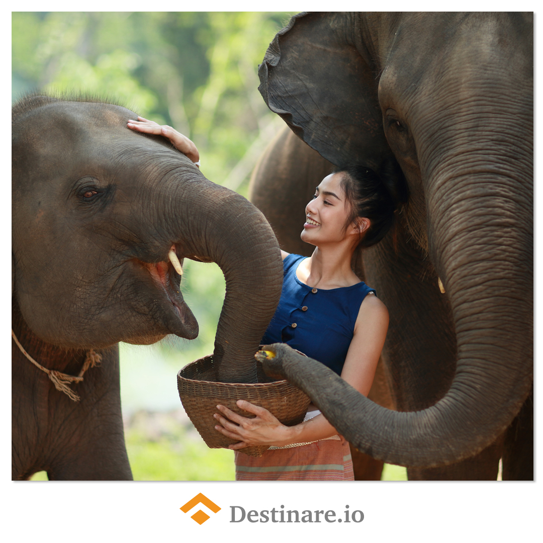 Destinare_io's tweet photo. Discover wonderful experiences with Destinare! 🌎
#Travel #Ecoturism #Crypto #Destinare https://t.co/jodf2PM1xG