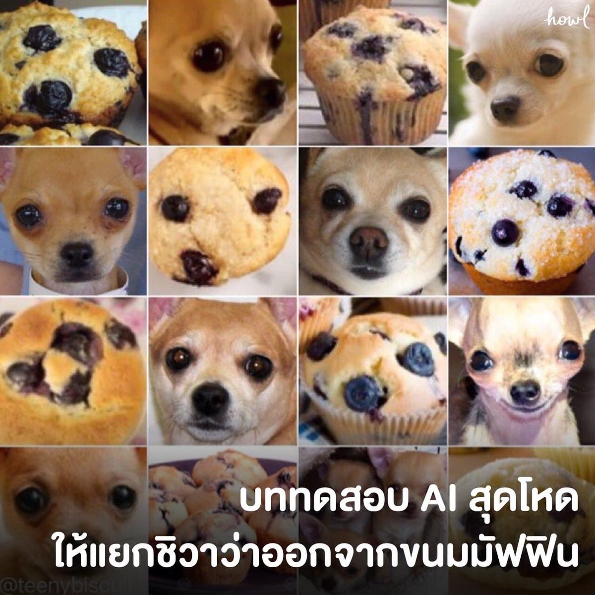 Nita_Mewie's tweet photo. @iasdfhewu แบบนี้ป่ะเตง 55555555555 https://t.co/vGM4kx1HJN