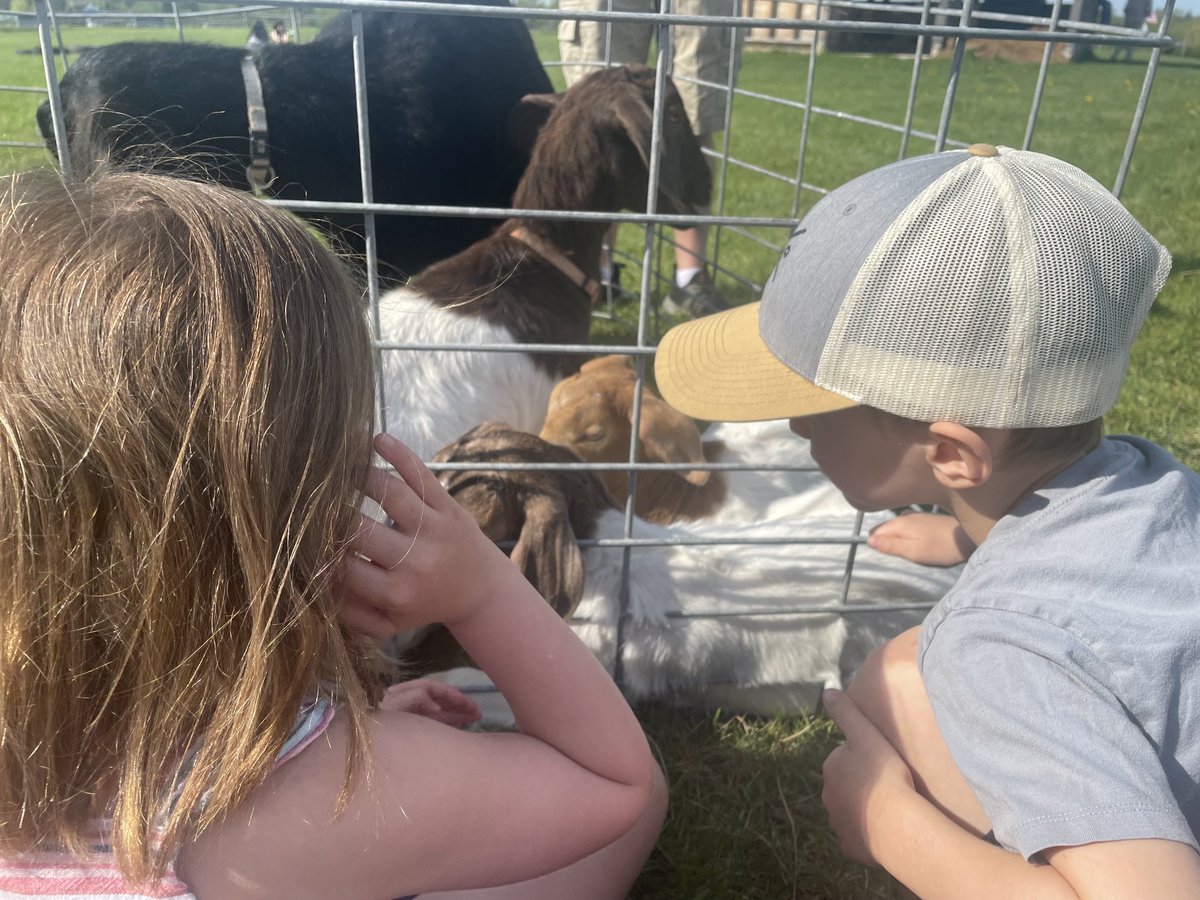 Gotta love Agriculture Day at school. Cows, goats, tractor rides, and ice cream making.