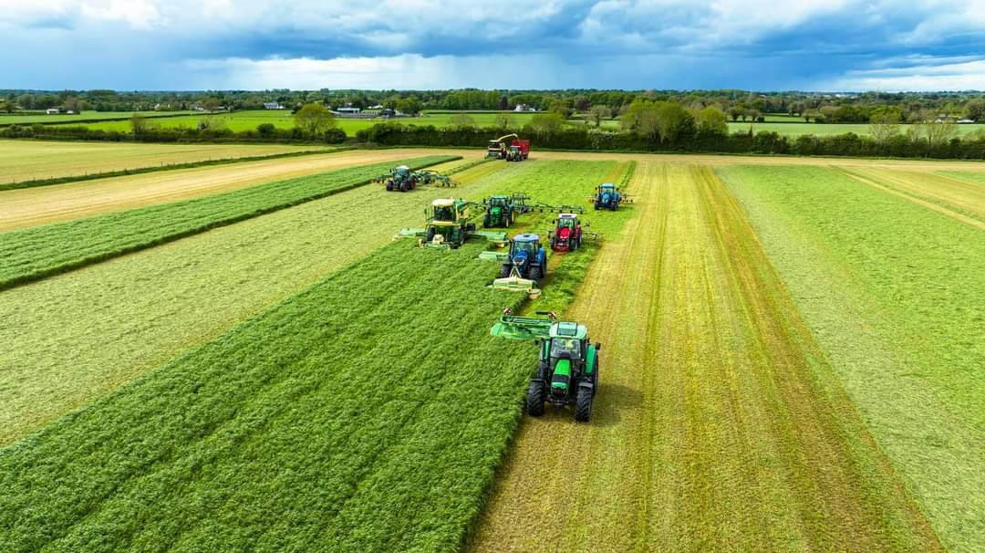 UCD Lyons Farm tweet media