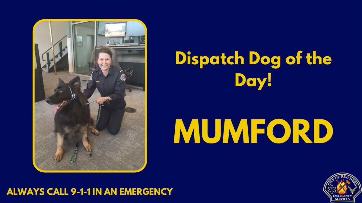 Red Deer 911 Emergency Communications Centre tweet media