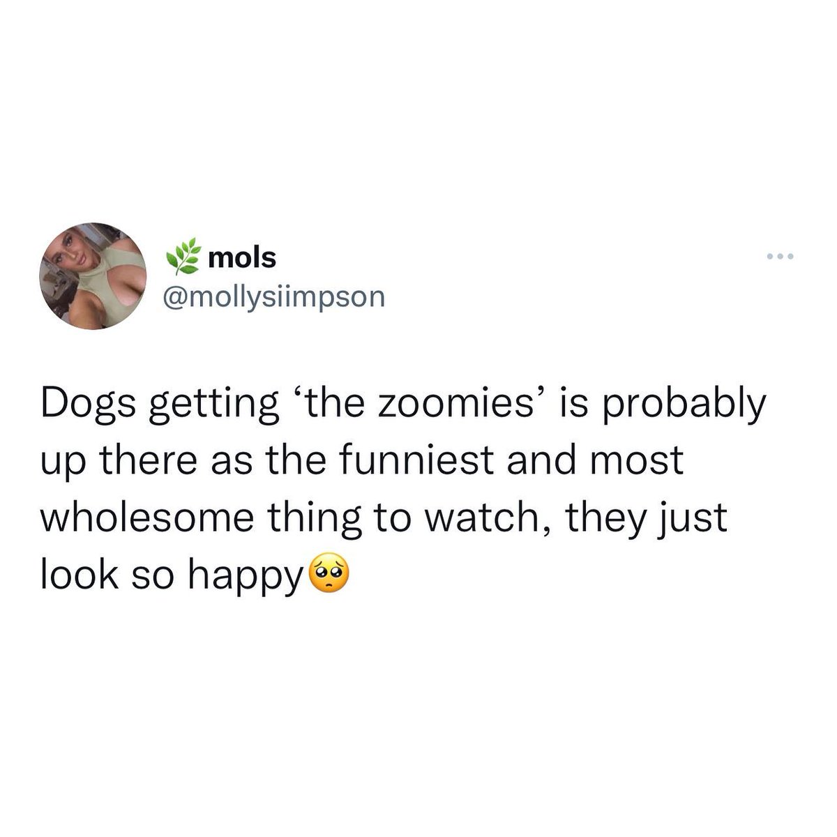 The best thing ever 🥺
