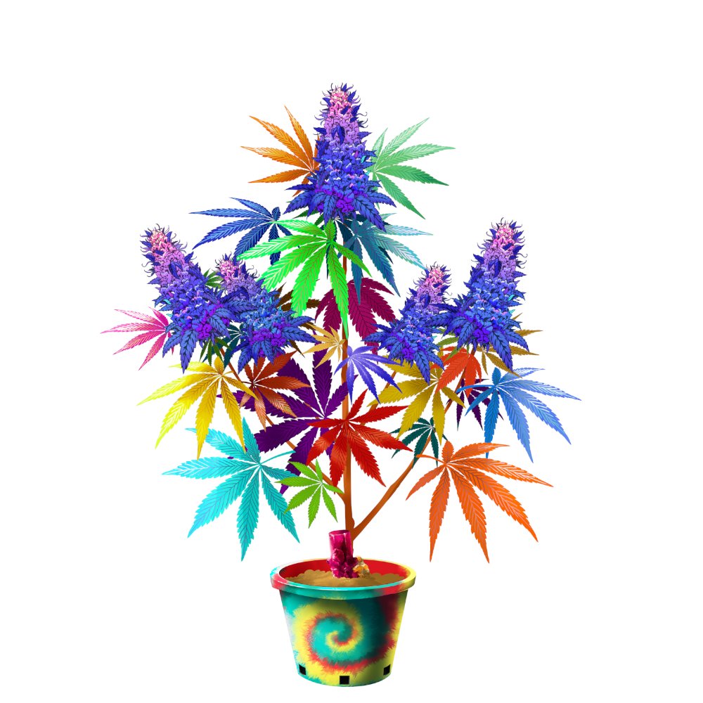 CryptoCannaClub's tweet photo. With the announcement and release of the game lightpaper, we're excited for the CCC's NFTokins. Show us your plants or check out the collection here: 
https://t.co/twWc7XKkr4
#CCC #NFTs #NFTokins https://t.co/0ToCVvbhMG