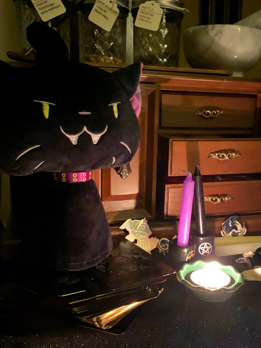 kumoricon's tweet photo. How else would you celebrate #Fridaythe13th than going to the mystical lair of #DarkNeko? Take a look around and get your fortune told... hope #GhostNeko got the answers they were looking for.
#kumoricon #kumoricon2022 #tarot https://t.co/7065BQGcds