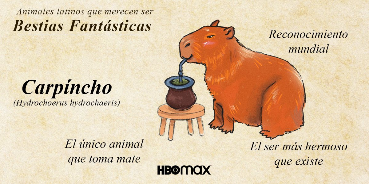 HBOMaxLat's tweet photo. A estos #AnimalesFantásticos seguro sabes dónde encontrarlos. 👀🇲🇽🇦🇷 (mi fav es el tercero🤫) https://t.co/JPuJYsrDZX