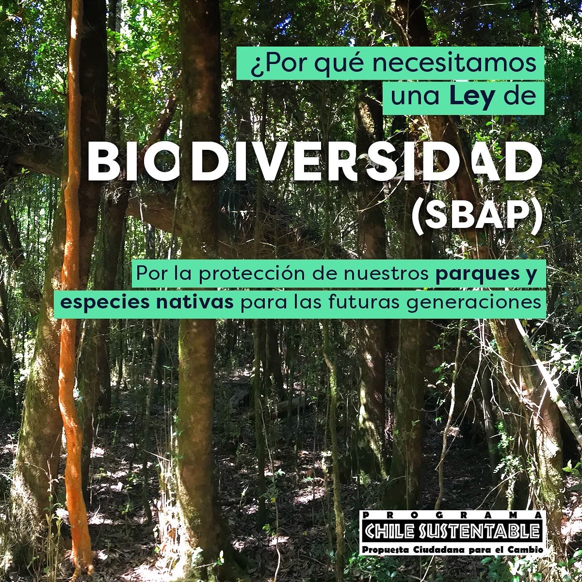 ONG_CHS's tweet photo. 1.Las especies y ecosistemas de Chile son únicas en el mundo y están en alto riesgo de desaparecer.
2. El Proyecto de Ley que Crea el #SBAP lleva 11 años en el Congreso, está en su segundo trámite legislativo en la Cámara de Diputados y es urgente su aprobación.
#yoquierosbap https://t.co/hMYJSrzdrT
