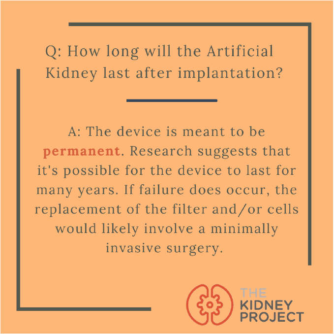 The Kidney Project tweet media