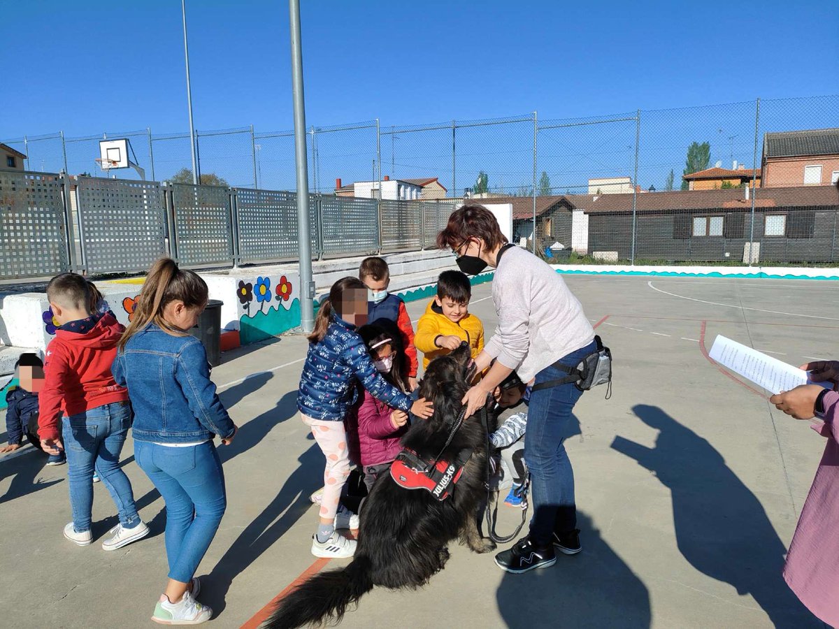 CeipLolaHerrera's tweet photo. No podía faltar el tweet de los peques con Rebeca, Marisa y Jordan, de la Fundación Diagrama. Toda una experiencia… canina… Programa Plan de Mejora 21-22 #ventealLola #ElLolamola #Defaniva https://t.co/vttssOrauO