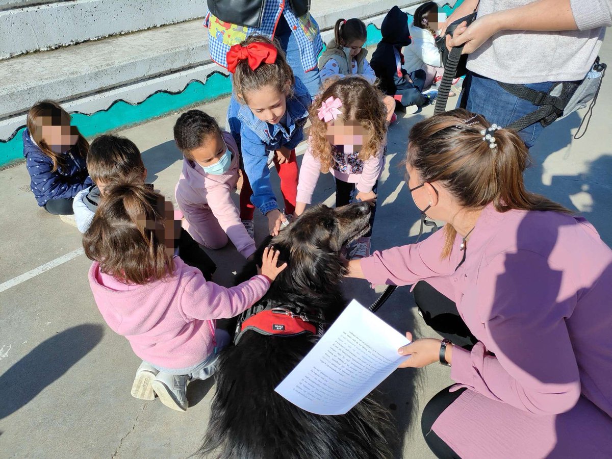 CeipLolaHerrera's tweet photo. No podía faltar el tweet de los peques con Rebeca, Marisa y Jordan, de la Fundación Diagrama. Toda una experiencia… canina… Programa Plan de Mejora 21-22 #ventealLola #ElLolamola #Defaniva https://t.co/vttssOrauO
