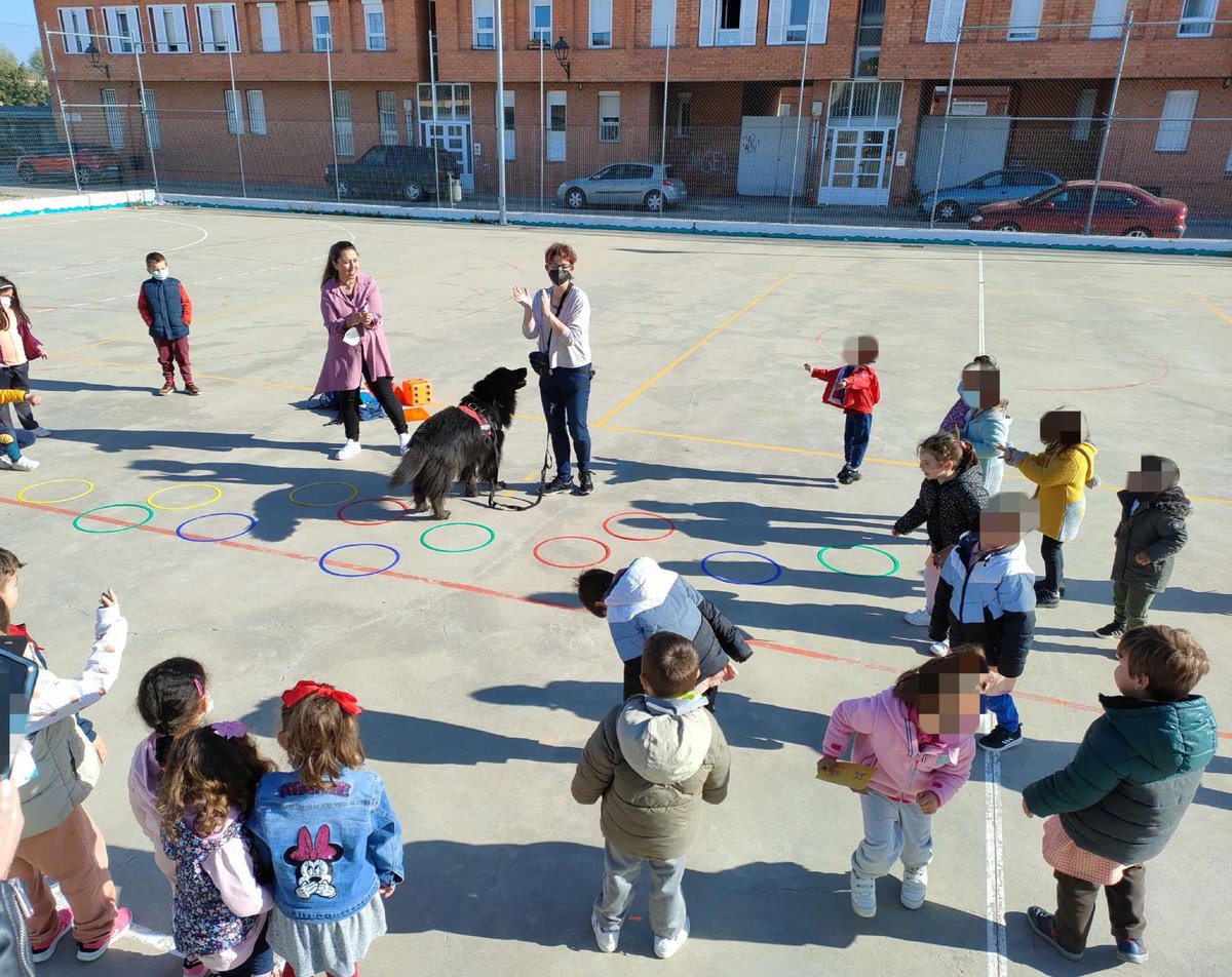 CeipLolaHerrera's tweet photo. No podía faltar el tweet de los peques con Rebeca, Marisa y Jordan, de la Fundación Diagrama. Toda una experiencia… canina… Programa Plan de Mejora 21-22 #ventealLola #ElLolamola #Defaniva https://t.co/vttssOrauO