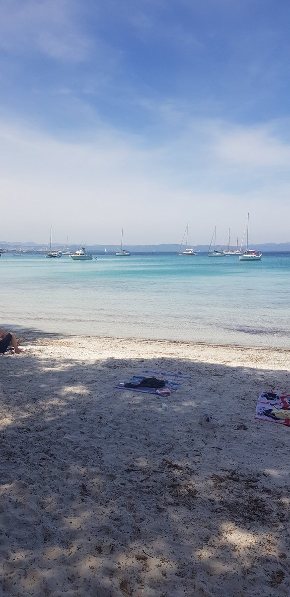damien_pfister's tweet photo. Le paradis de la France #porquerolles #hyere #ilesdor https://t.co/NFP3WV057N