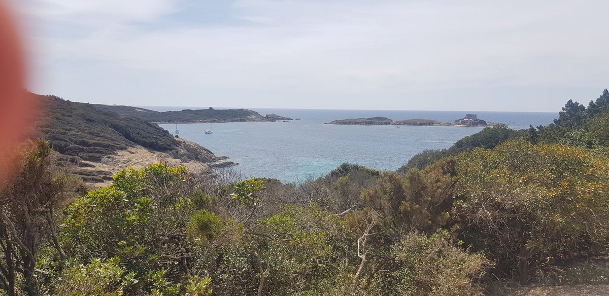 damien_pfister's tweet photo. Le paradis de la France #porquerolles #hyere #ilesdor https://t.co/NFP3WV057N