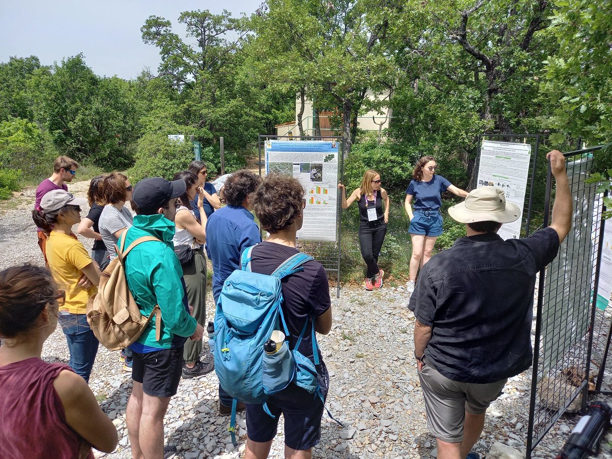 tildechom's tweet photo. @VirginieBaldy and Elodie Quer from @imbe_marseille presenting some results from the drought #O3HP experiment #AboveBelow22 @BESPlantSoilEco https://t.co/JATGgUZtdq