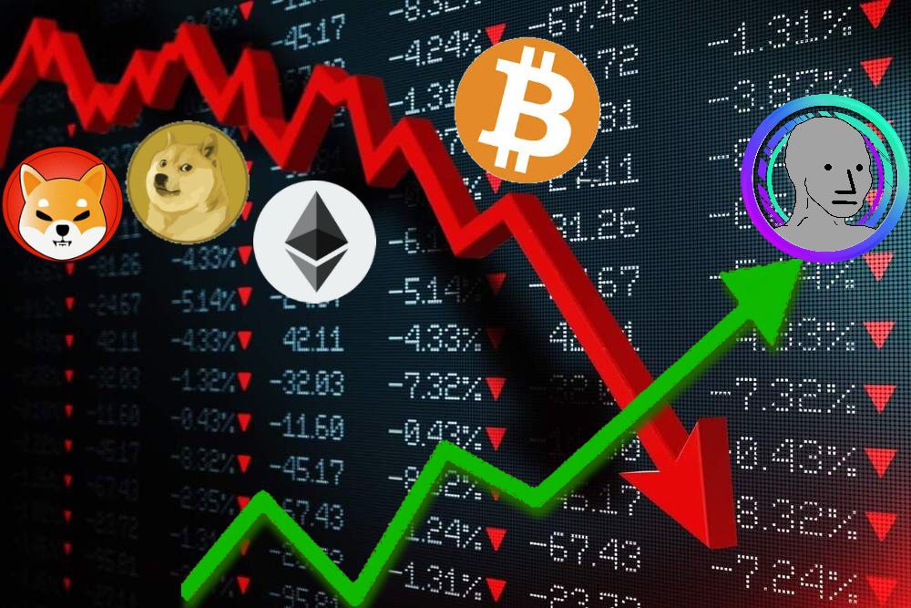 NPC DAO ($NPC) tweet media