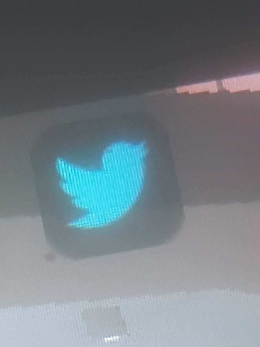 SignyKing tweet media