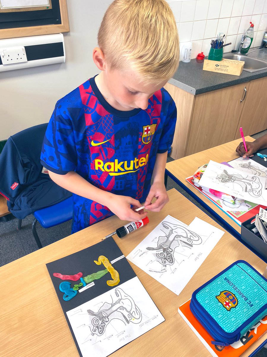 MrsP_OLOS's tweet photo. Sycamore class have been studying how the ear works and constructed their own ears with all the important parts. Then we enjoyed a super #playlist at our disco to finish a fabulous Friday! @olos_armthorpe @Cornerstonesedu #soundwaves https://t.co/jKTlYJiL6n