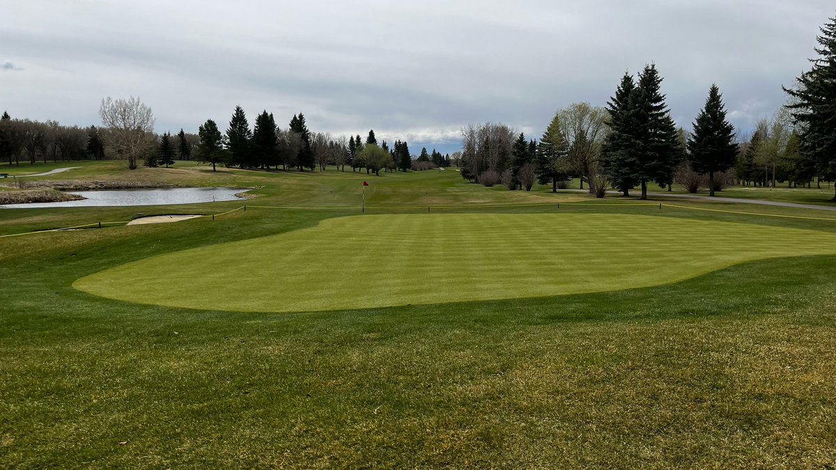 SVTurfCare's tweet photo. Numbers 1 &amp; 7 greens are coming along nicely. Need some sunshine!!! Sod was laid last thursday afternoon. First cut at .250” yesterday, double cut at .230”today then fertilized for the third time. Coooommmmeeooon roots!! https://t.co/MUqpiHuROq