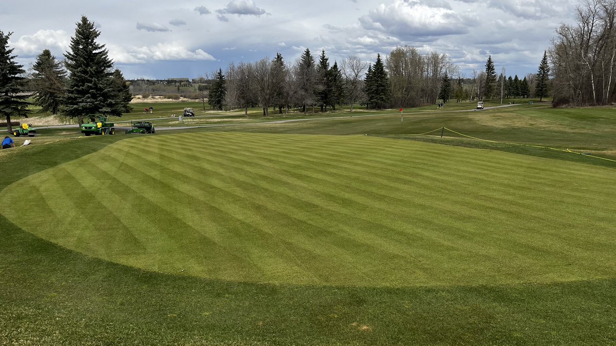 Numbers 1 &amp; 7 greens are coming along nicely. Need some sunshine!!! Sod was laid last thursday afternoon. First cut at .250” yesterday, double cut at .230”today then fertilized for the third time. Coooommmmeeooon roots!!