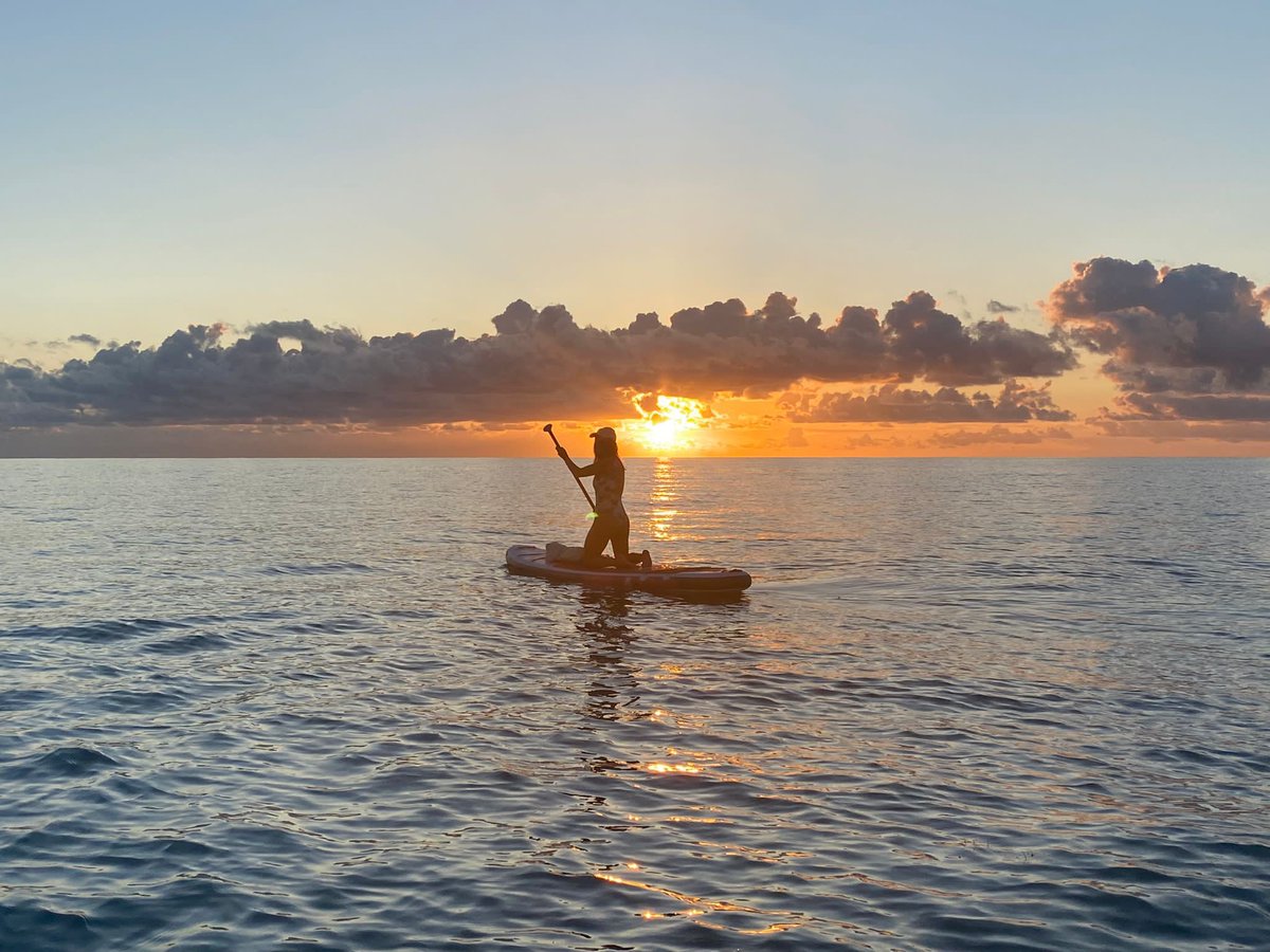 Mapi Garcia tweet media