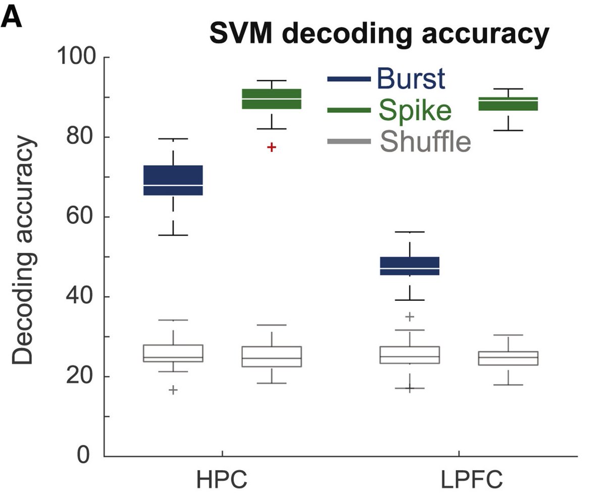 BWCorrigan's tweet photo. Finally, we used SVM decoders to analyse population codes for task periods, and the accuracy for burst rates in HPC was much closer to accuracy for spike rates, whereas burst decoding was poor in the LPFC. https://t.co/3oCVHNYB7P
