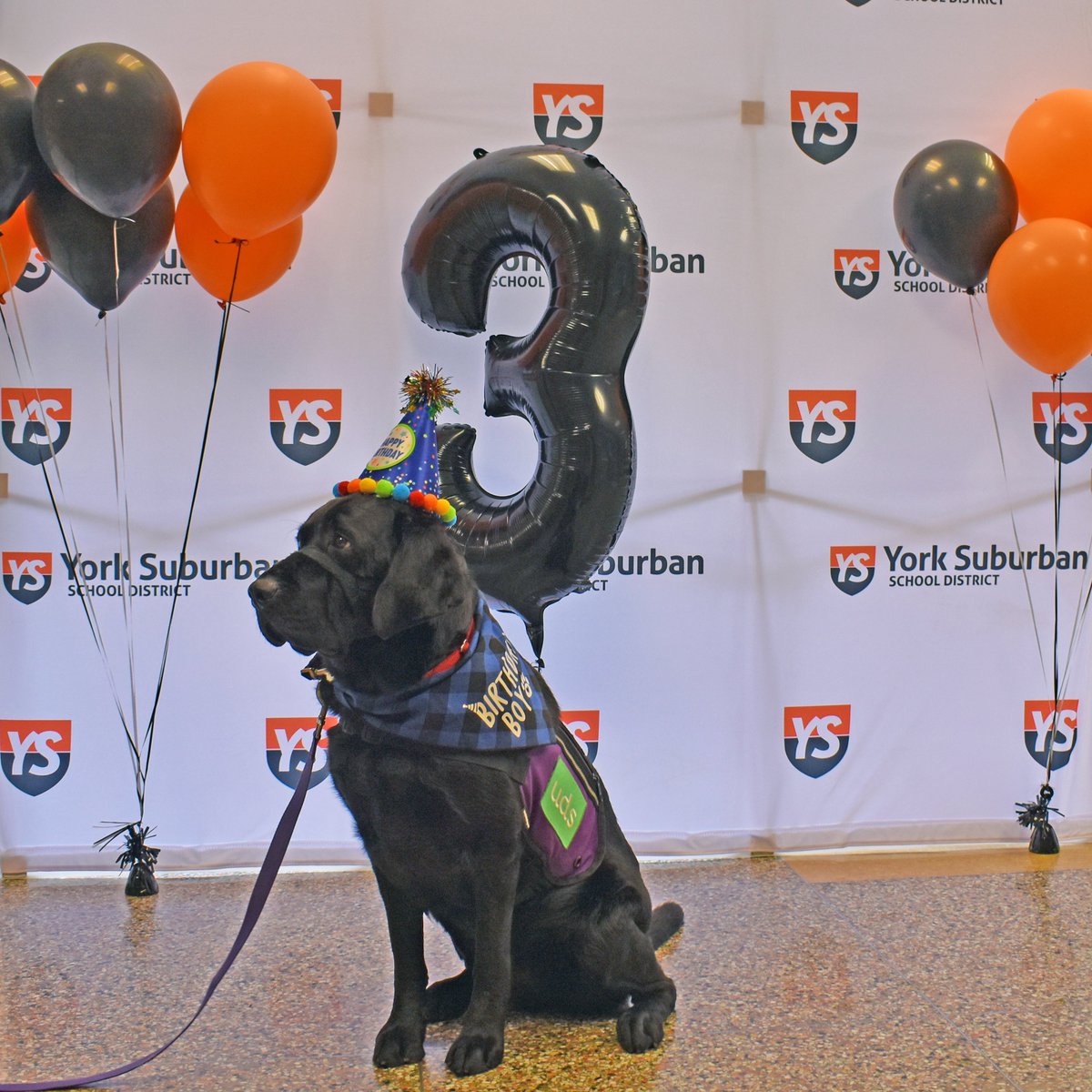York Suburban School District tweet media